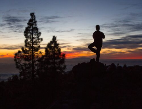 The Benefits of Yoga in Nature